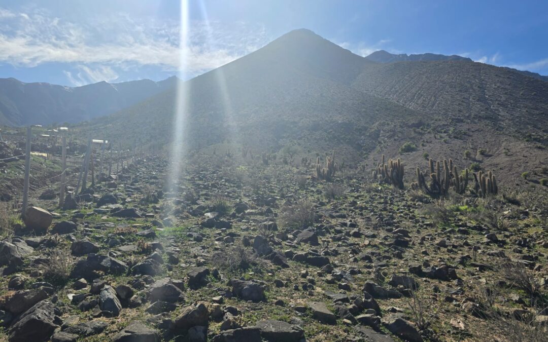 Vicuña | Terreno cercano a Observatorio Mamalluca Tranquilidad Inigualable
