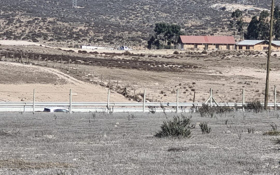 Terreno Comercial Plano A Orilla Ruta D43 Nueva